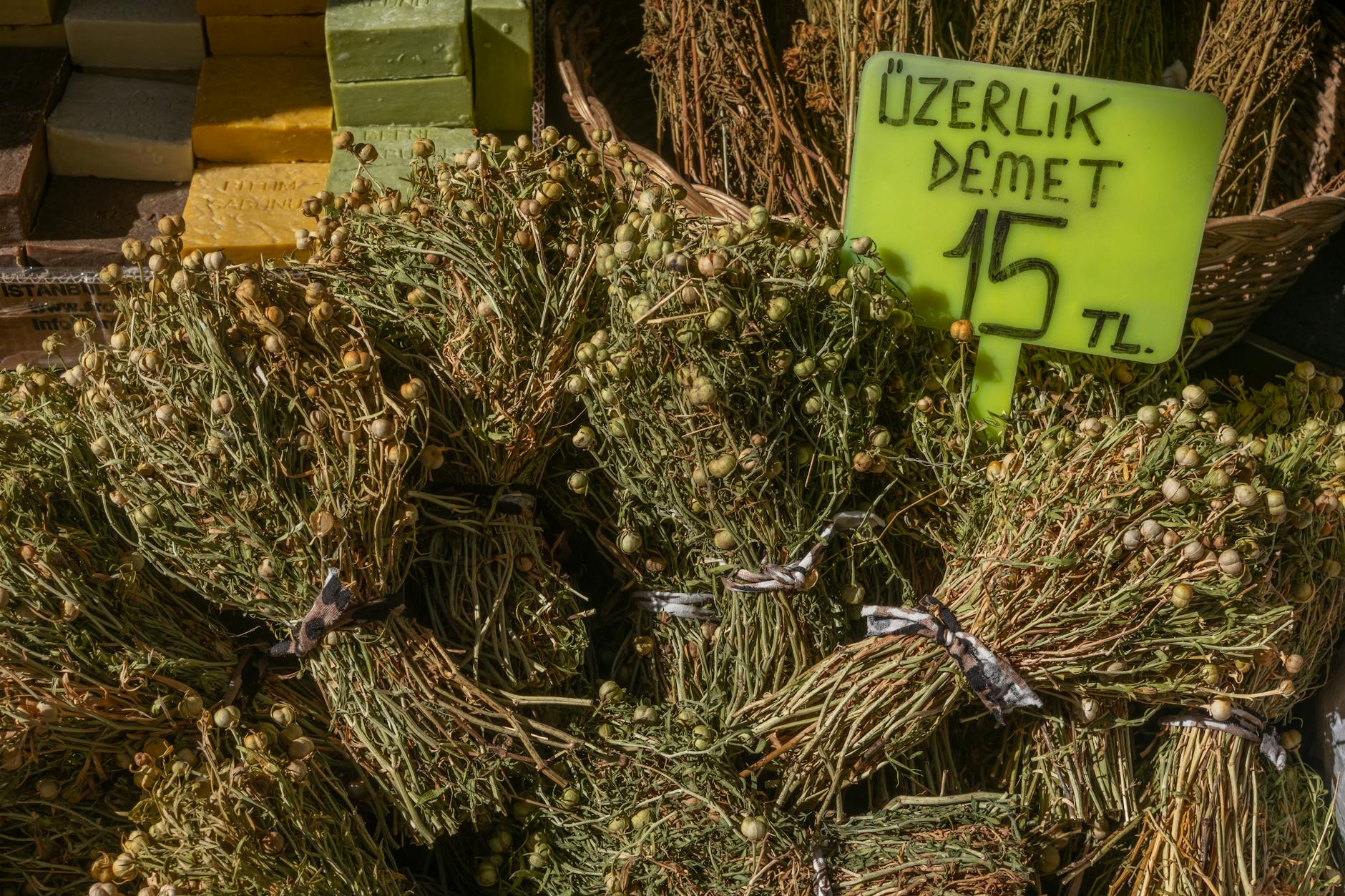 Bitkili akvaryum substratı
