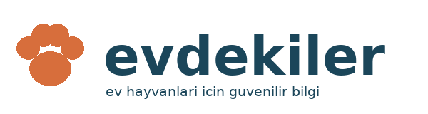 Evdekiler