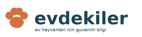 Evdekiler