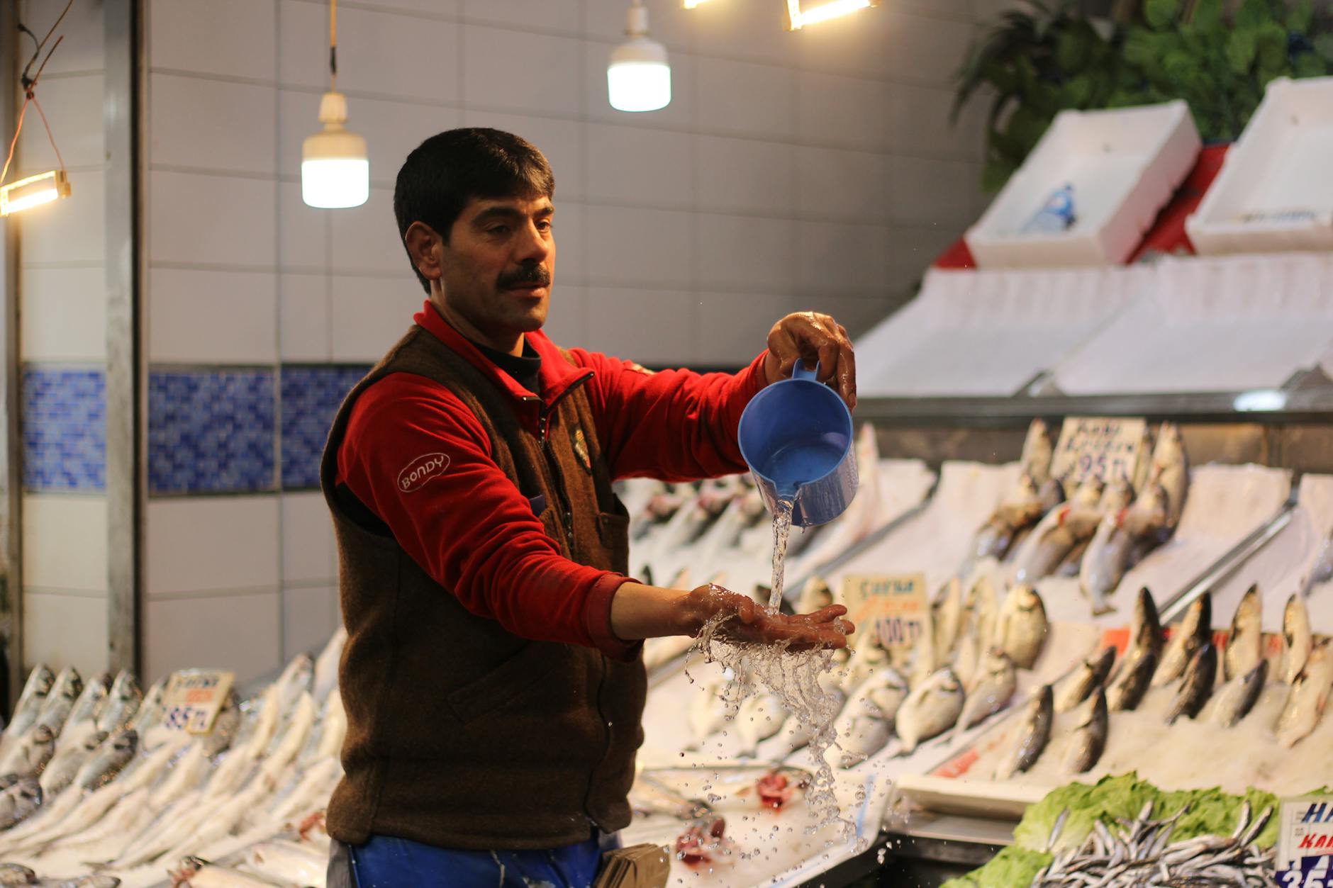 Akvaryumda beslenme zamanı