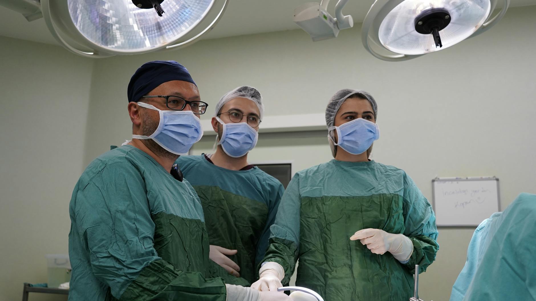 Veteriner kliniğinde kısırlaştırma hazırlığı