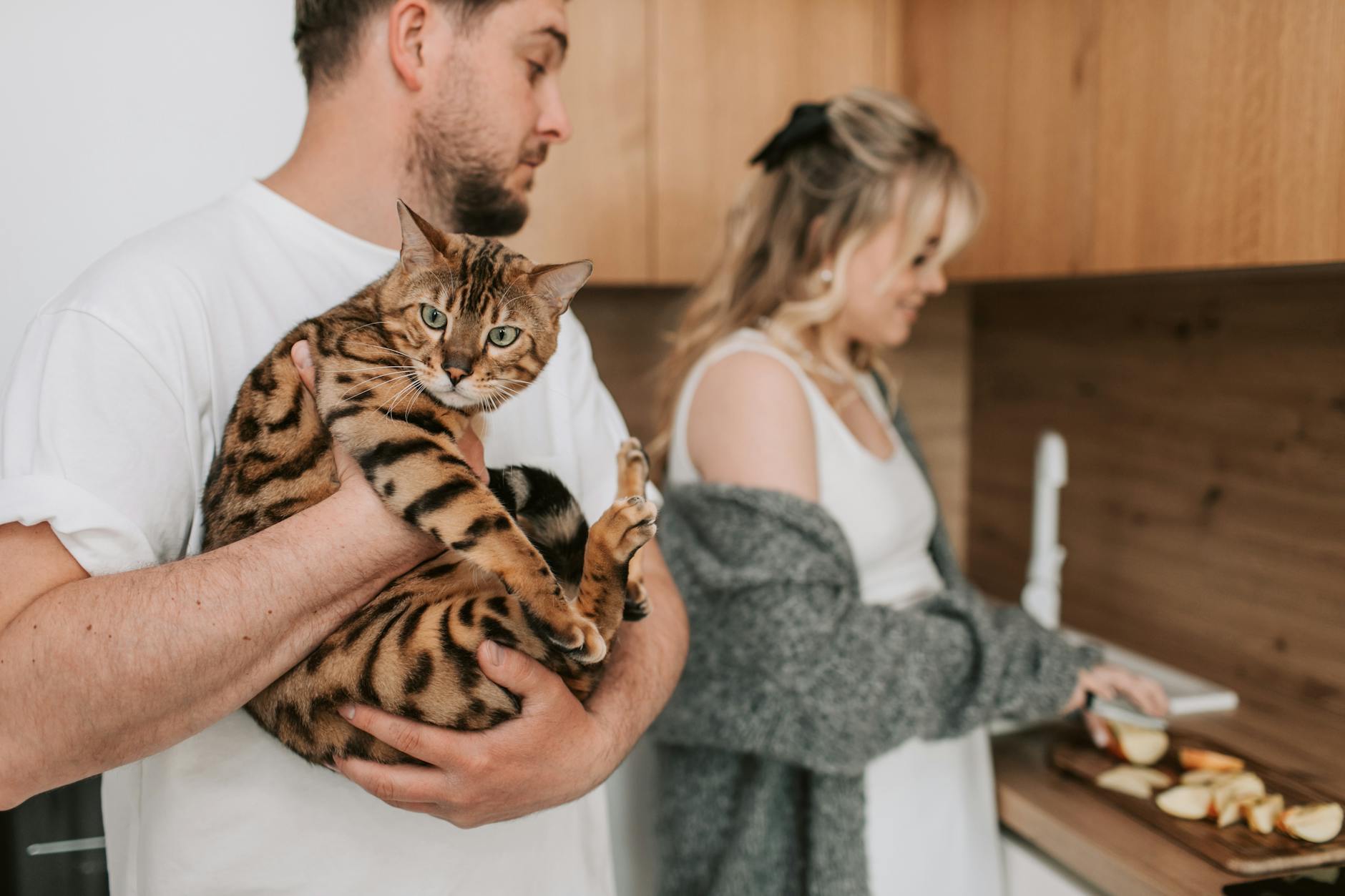 Sağlık kontrolünde veteriner ve kedi